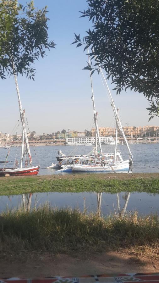 לוקסור Villa Victoria Old Nile View מראה חיצוני תמונה